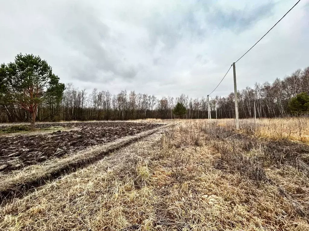 Участок в Тульская область, Заокский район, Страховское с/пос, д. ... - Фото 1