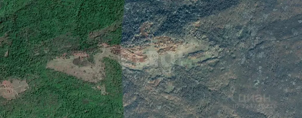 Участок в Адыгея, Майкопский район, Абадзехская ст-ца ул. Винника ... - Фото 1