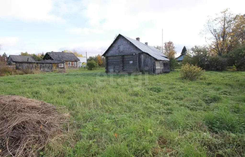 Участок в Вологодская область, Шекснинский муниципальный округ, пос. ... - Фото 2