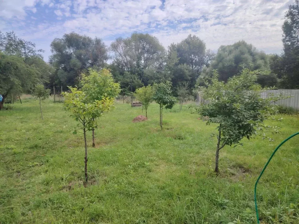 Участок в Орловская область, Орловский район, д. Сухая Орлица  (11.26 ... - Фото 1