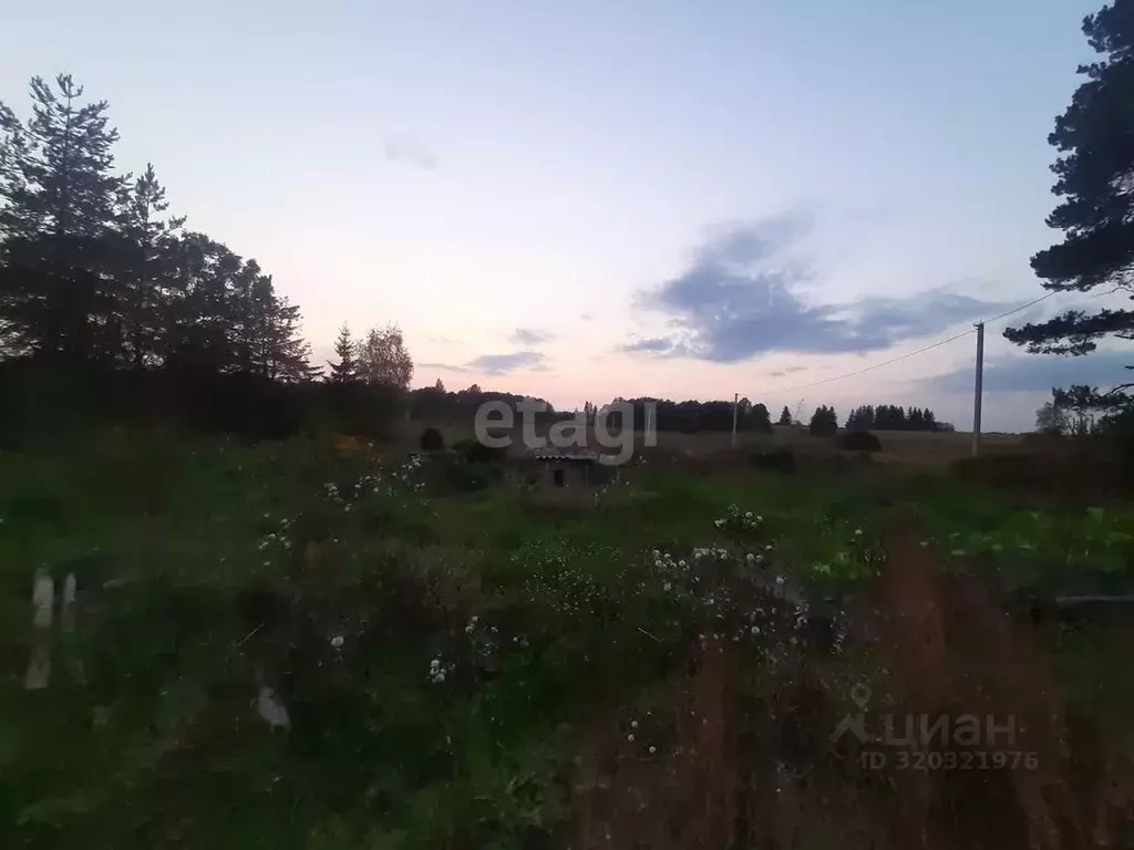 Дом в Псковская область, Пыталовский муниципальный округ, д. Магиново  ... - Фото 2