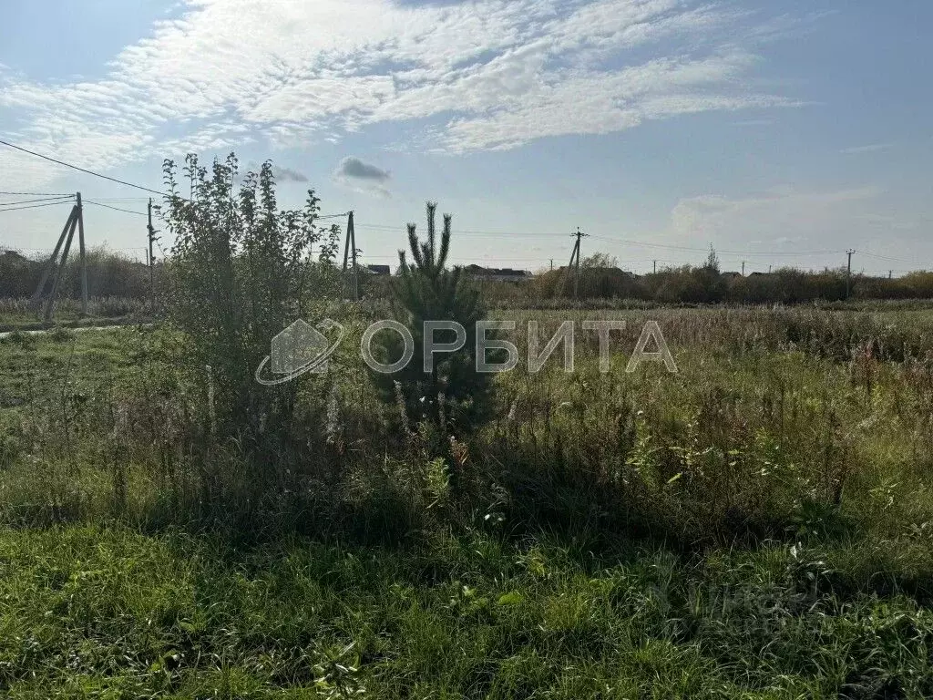 Участок в Тюменская область, Тюменский район, д. Елань 14 (11.75 сот.) - Фото 1