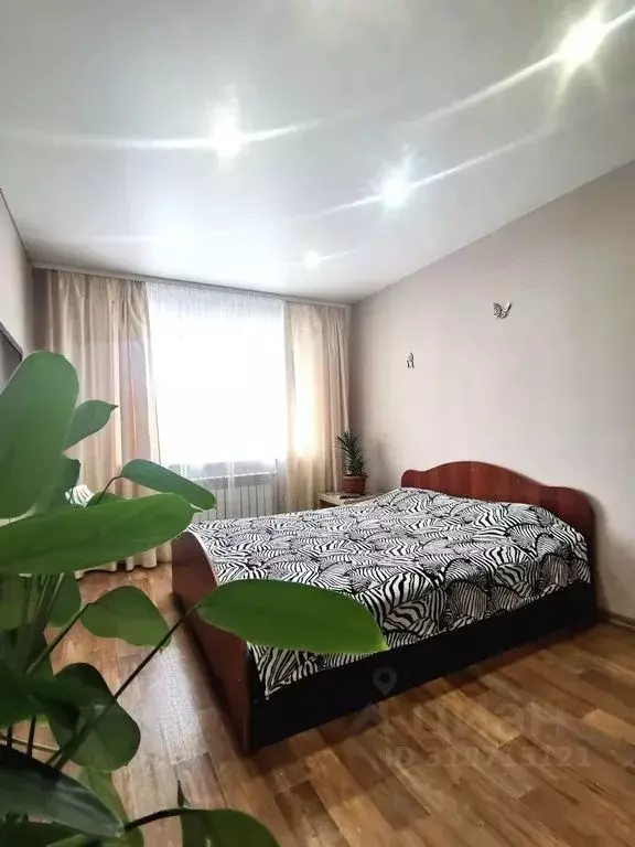 1-к кв. Марий Эл, Йошкар-Ола ул. Димитрова, 62 (37.0 м) - Фото 0