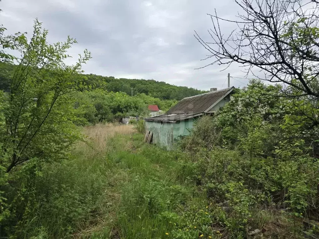 Участок в Амурская область, Благовещенск Амуравтотранс садовое ... - Фото 0