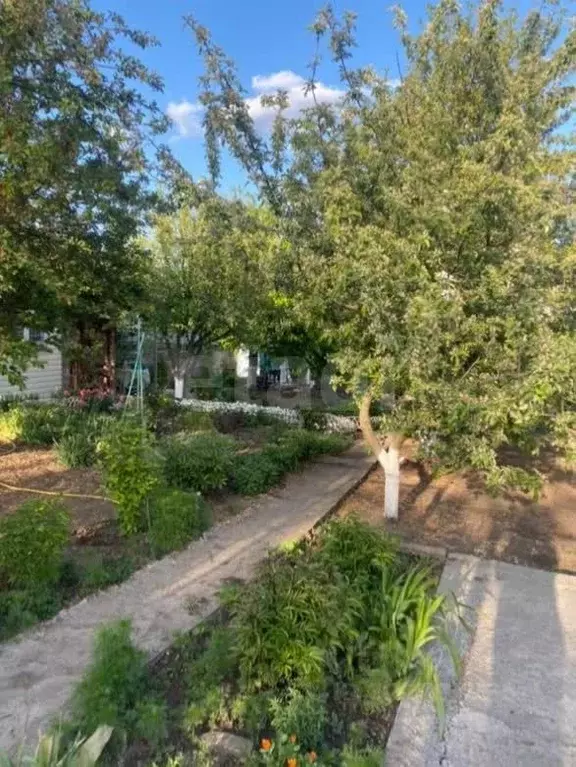 Участок в Ростовская область, Ростов-на-Дону 1-й Берестяной пер. (5.0 ... - Фото 2