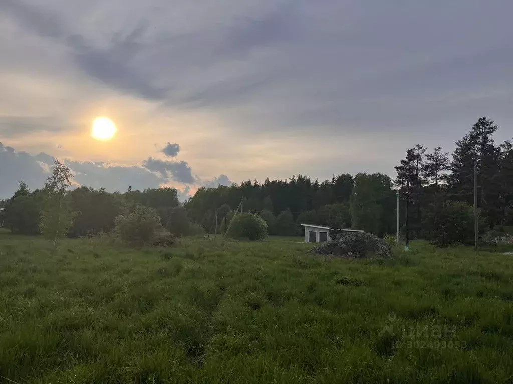 Участок в Ленинградская область, Приозерский район, Мельниковское ... - Фото 1