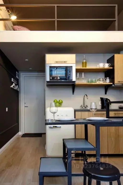 1-к кв. Санкт-Петербург Малая Морская ул., 19 (18.0 м) - Фото 2