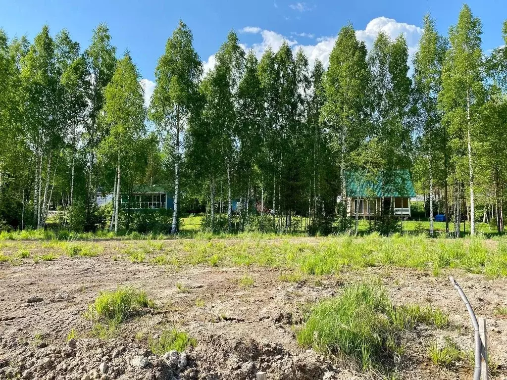 Участок в Ленинградская область, Приозерский район, Раздольевское ... - Фото 0