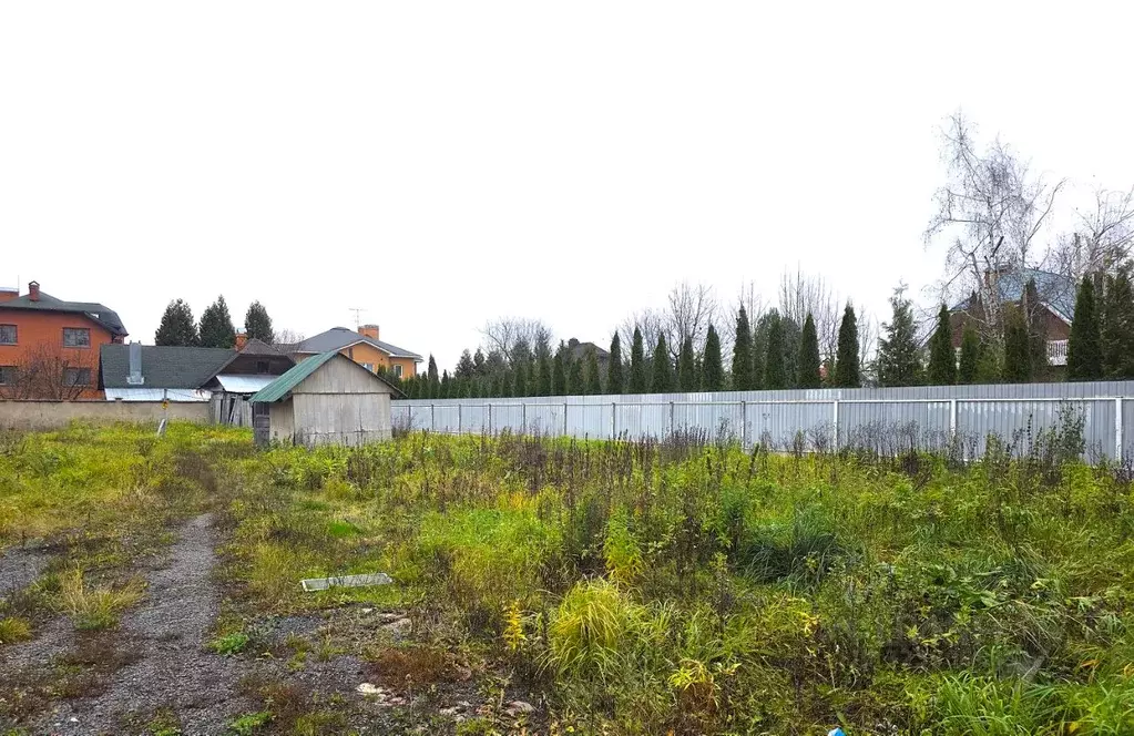 Участок в Московская область, Истра муниципальный округ, д. Борзые ул. ... - Фото 2