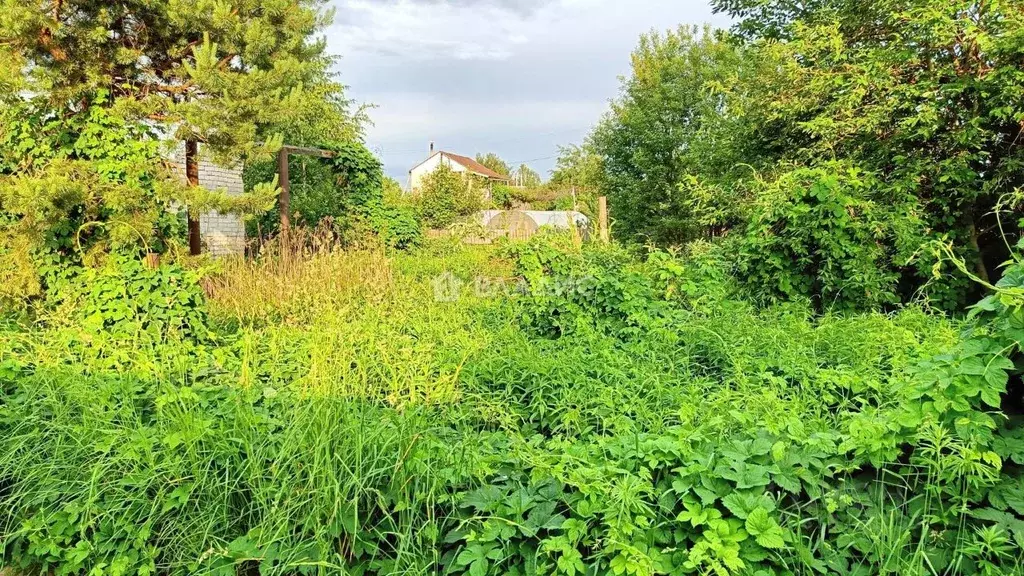 Участок в Брянская область, Брянск Автодорожник садовое общество, 2 ... - Фото 2