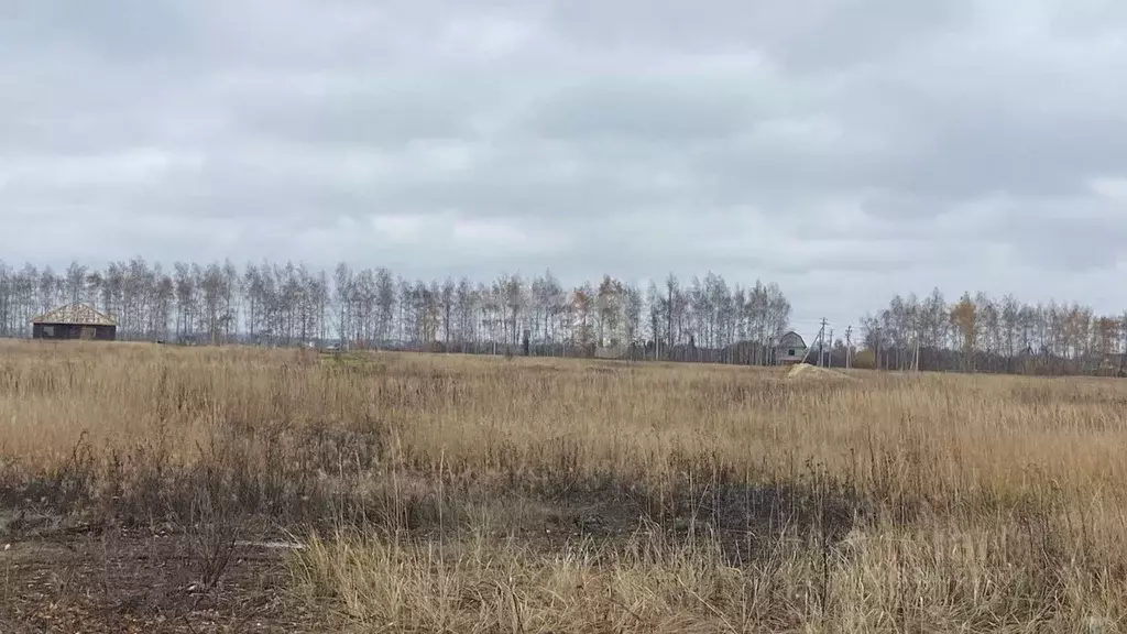 Участок в Тамбовская область, Тамбовский муниципальный округ, д. ... - Фото 1