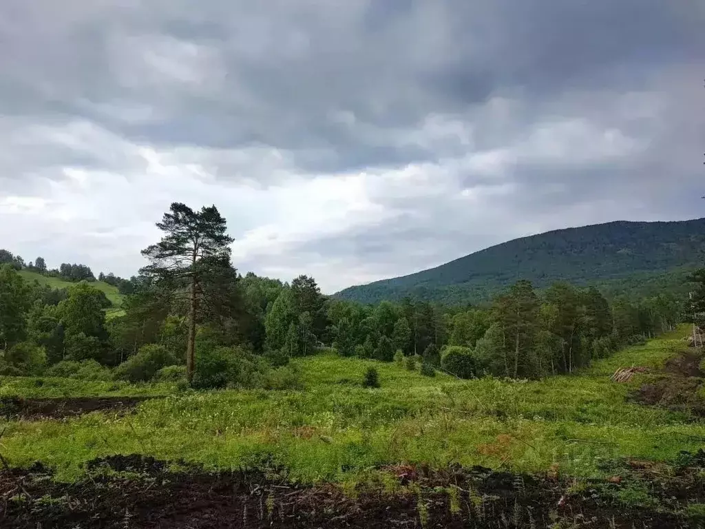 Участок в Алтай, Майминский район, с. Манжерок  (20.0 сот.) - Фото 2