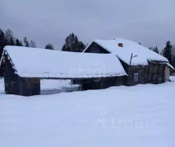 Участок в Вологодская область, Никольский муниципальный округ, пос. ... - Фото 2