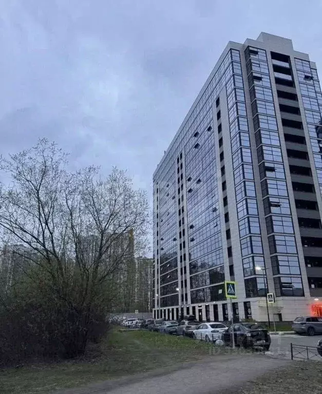 Студия Санкт-Петербург Пулковское ш., 14Д (29.0 м) - Фото 1