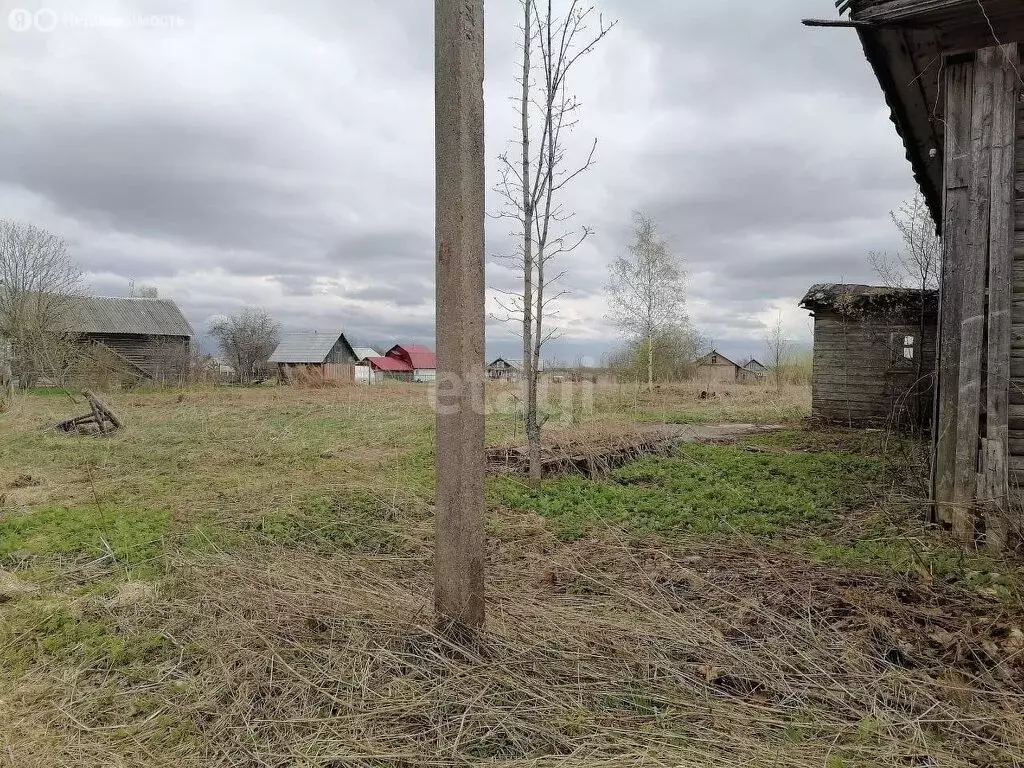 Участок в Череповецкий район, муниципальное образование Югское, село ... - Фото 1