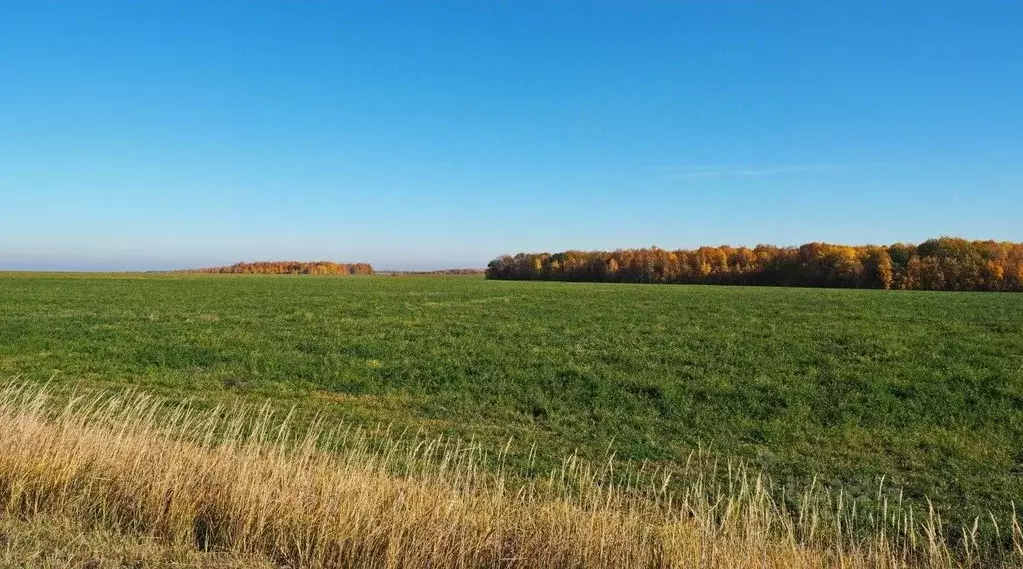Участок в Смоленская область, Семлево ст.  (2140.0 сот.) - Фото 0