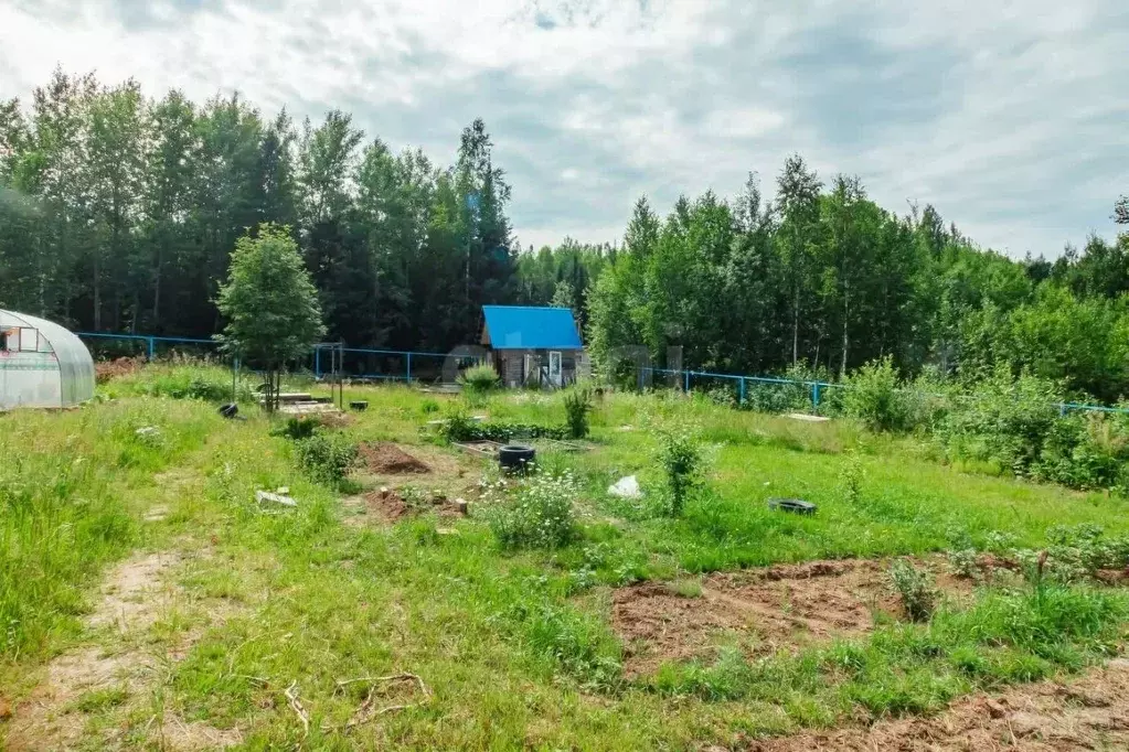 Участок в Ханты-Мансийский АО, Ханты-Мансийск Дорожник-3 СОТ, 48 ... - Фото 1