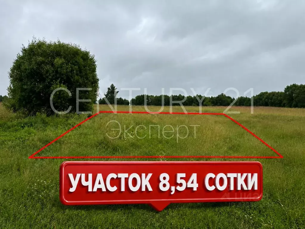Участок в Калининградская область, Зеленоградский муниципальный округ, ... - Фото 1