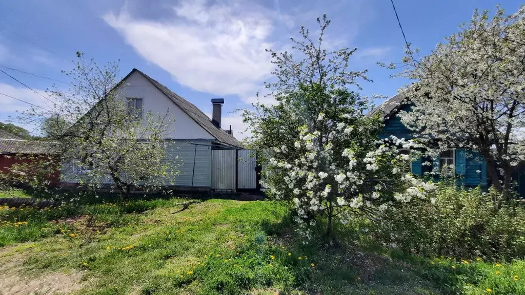 Дом в Брянская область, Новозыбков ул. Володарского, 9А (54 м) - Фото 2