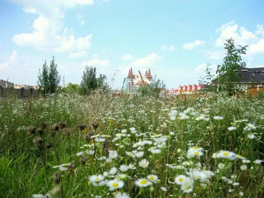 Участок в Московская область, Истра муниципальный округ, д. Красный ... - Фото 1