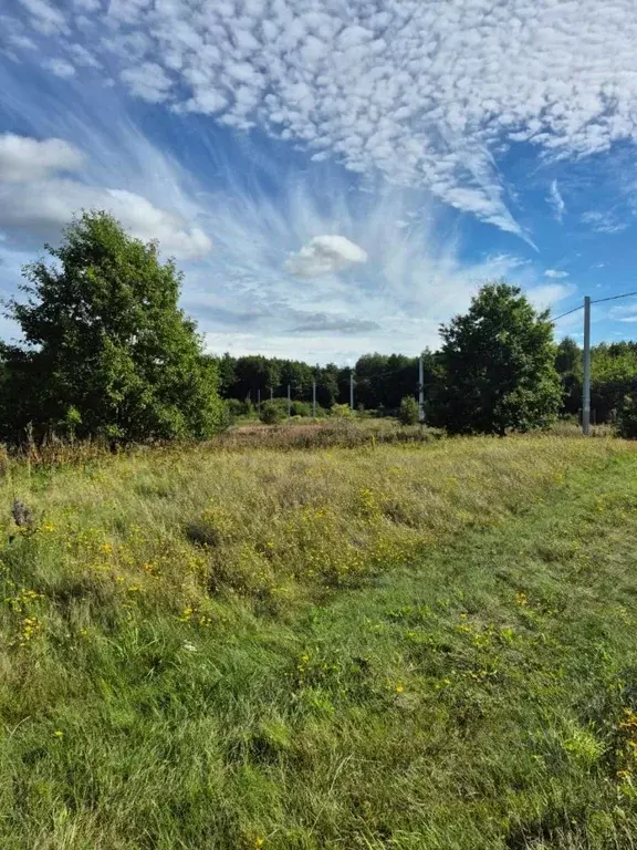 Участок в Калининградская область, Зеленоградский муниципальный округ, ... - Фото 1