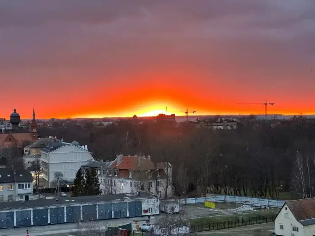 1-к кв. Калининградская область, Зеленоградск ул. Валентина Мосина, 14 ... - Фото 2