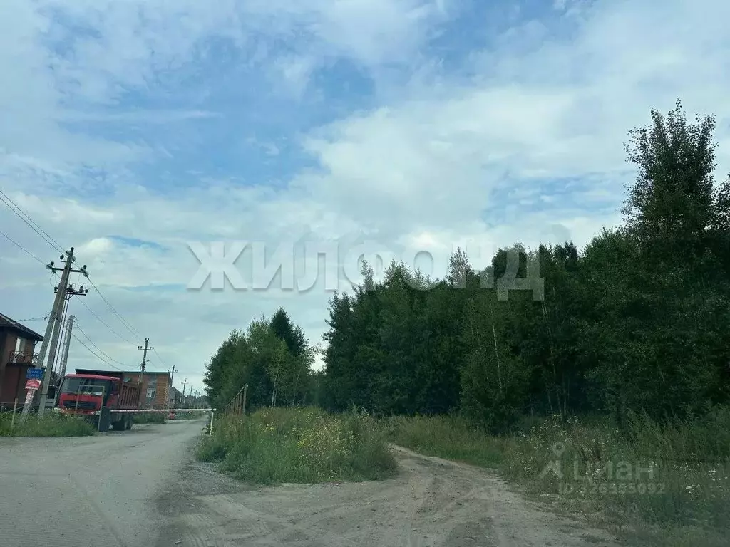 Участок в Новосибирская область, Новосибирский район, Каменский ... - Фото 1