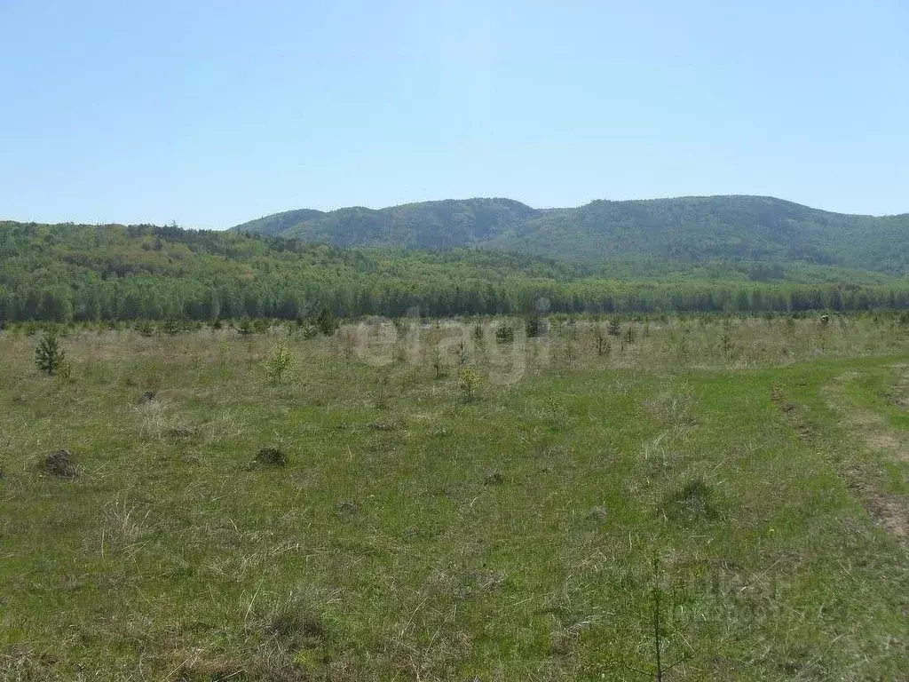Участок в Бурятия, Улан-Удэ Весна ДНТ, К1 (8.0 сот.) - Фото 1