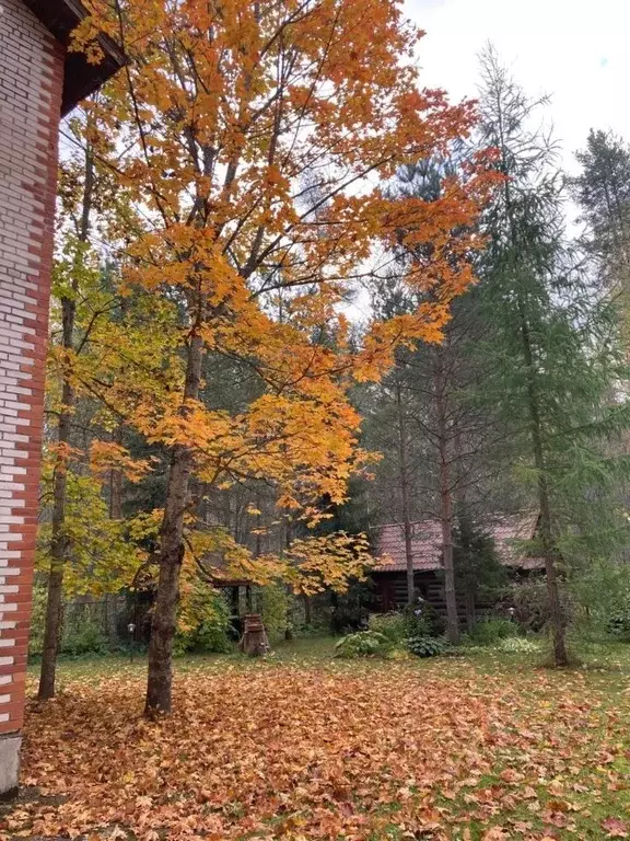 Дом в Ленинградская область, Приозерский район, Красноозерное с/пос, ... - Фото 2