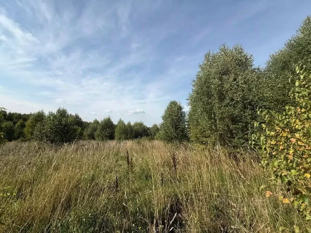 Участок в Кемеровская область, Новокузнецкий муниципальный округ, д. ... - Фото 1