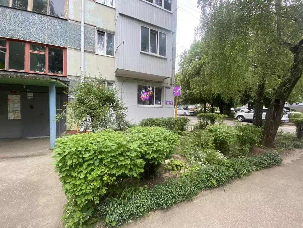 Помещение свободного назначения в Ставропольский край, Ставрополь ул. ... - Фото 0