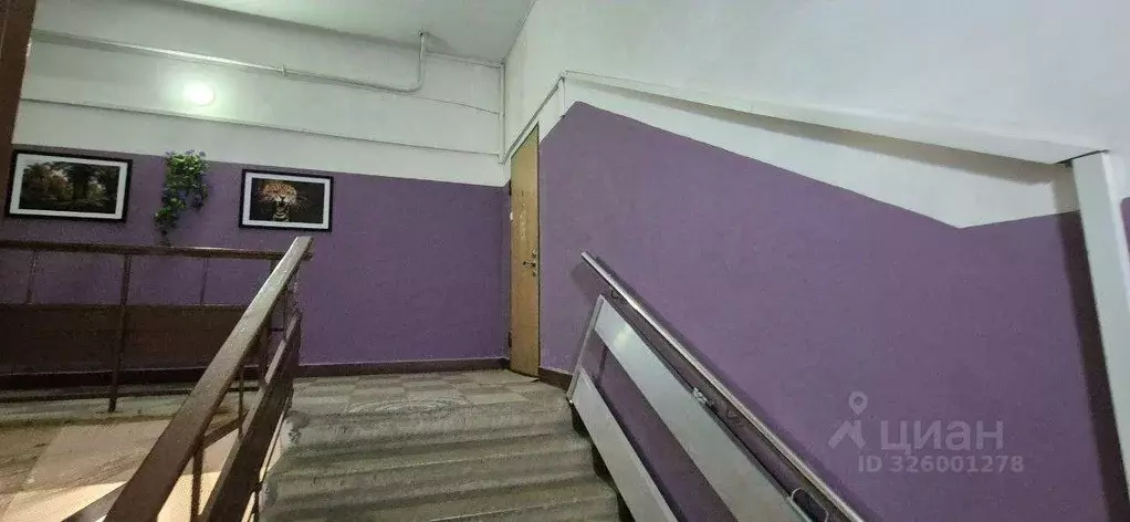 Квартира, 4 комнаты, 269.5 м - Фото 2