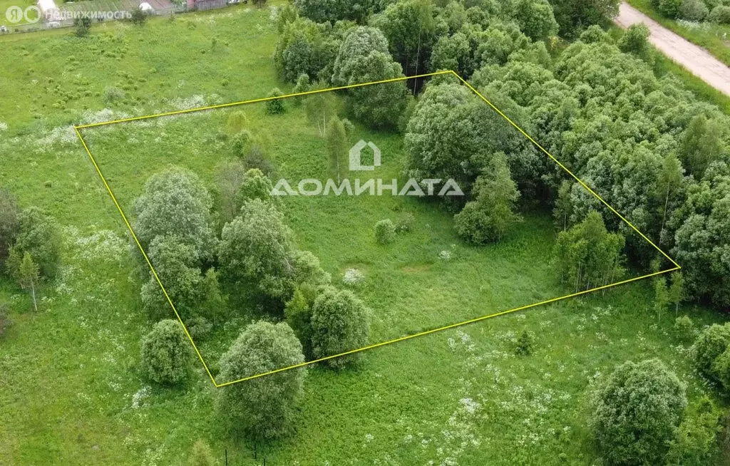 Участок в Мшинское сельское поселение (30.74 м) - Фото 1