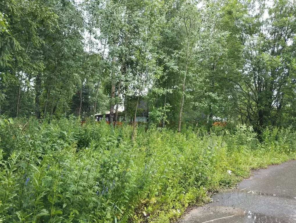 Участок в Московская область, Одинцовский городской округ, д. Болтино  ... - Фото 1