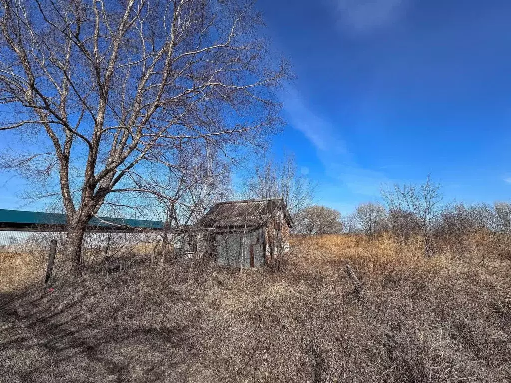 Участок в Хабаровский край, Хабаровский район, Тополевское с/пос, с. ... - Фото 2