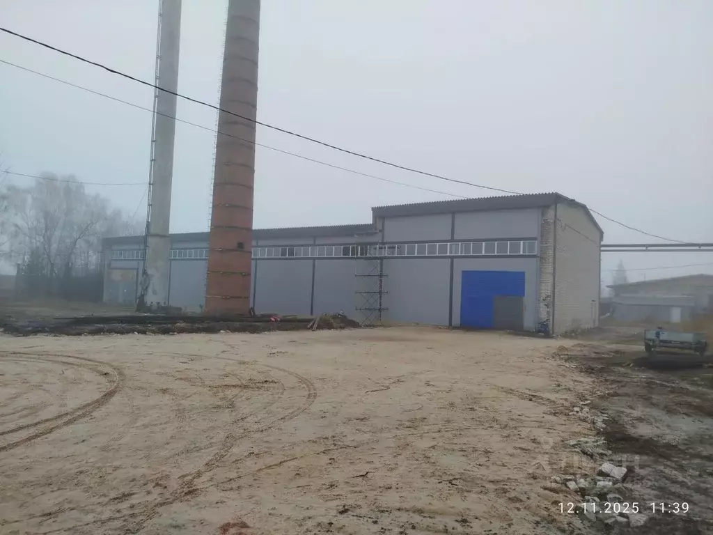 Производственное помещение в Нижегородская область, Балахнинский ... - Фото 2