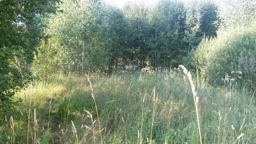 Участок в Московская область, Клин городской округ, Западное СНТ  (6.0 ... - Фото 2
