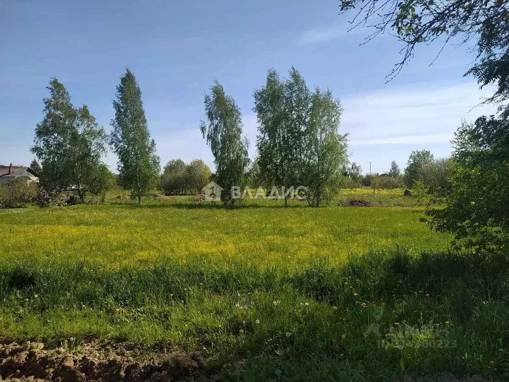 Участок в Ивановская область, Тейковский район, Нерльское городское ... - Фото 1