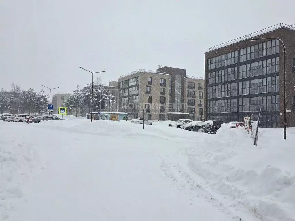 Участок в Владимирская область, Ковровский муниципальный округ, пос. ... - Фото 2