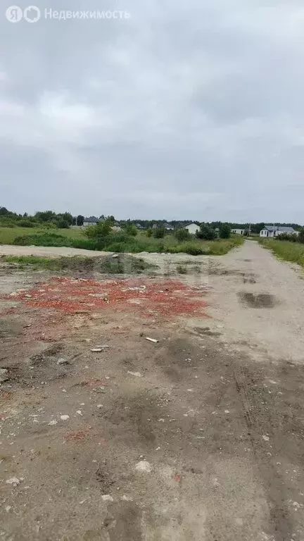 Участок в Калининградская область, Багратионовский муниципальный ... - Фото 1