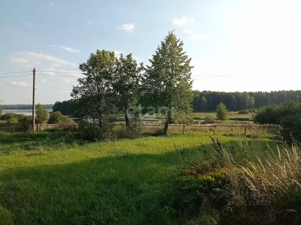 Участок в Костромская область, Красносельский район, Подольское с/пос, ... - Фото 2