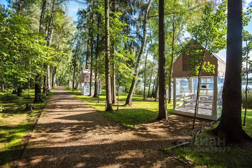 Дом в Московская область, Солнечногорск городской округ, д. Шевлино 23 ... - Фото 1
