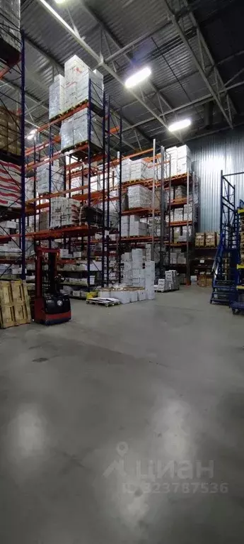 Склад в Московская область, Подольск городской округ, с. Покров ул. ... - Фото 2