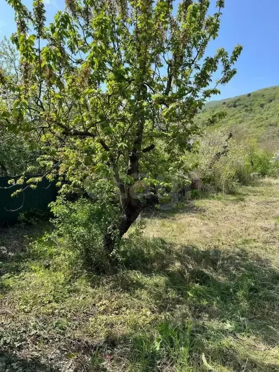 Участок в Краснодарский край, Новороссийск городской округ, Дюрсо хут. ... - Фото 1