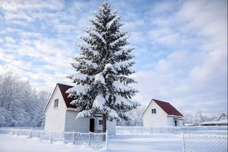 Дом в Ленинградская область, Гатчинский муниципальный округ, деревня ... - Фото 2