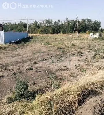 Участок в Большелогское сельское поселение, улица Радости, 43 (6 м) - Фото 0