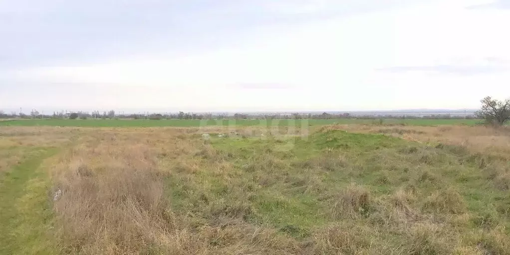 Участок в Крым, Ленинский район, с. Чистополье ул. Виноградная (6.0 ... - Фото 1