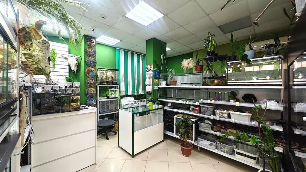 Помещение свободного назначения в Липецкая область, Липецк просп. ... - Фото 1