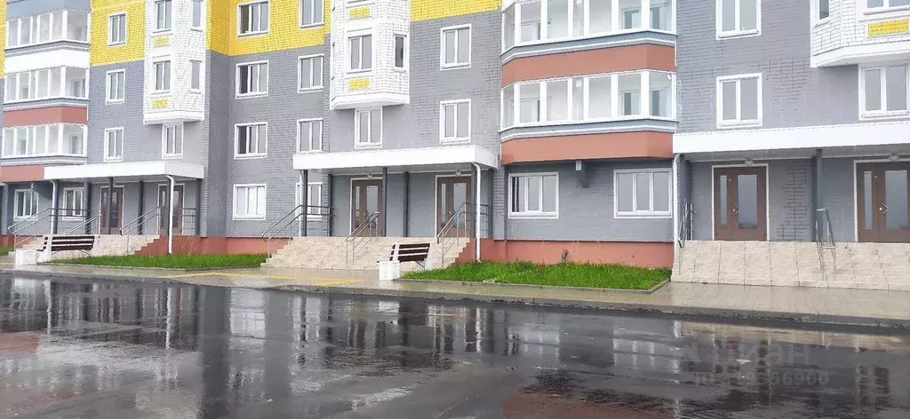 Помещение свободного назначения в Курская область, Курск просп. ... - Фото 1