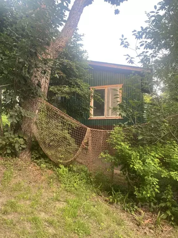Участок в Приморский край, Владивосток Земляничная ул., 55 (8.6 сот.) - Фото 1